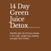 Detox Bundle